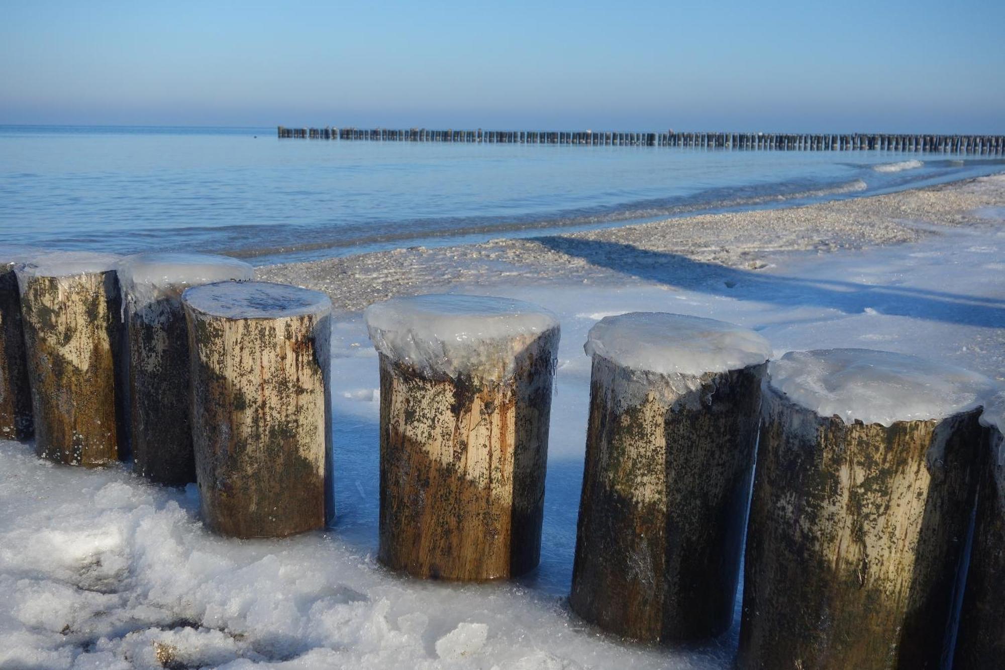 Whg 03 - Keekwind Zingst Exterior foto